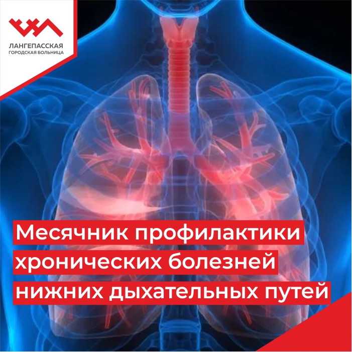 Месячник профилактики хронических болезней нижних дыхательных путей
